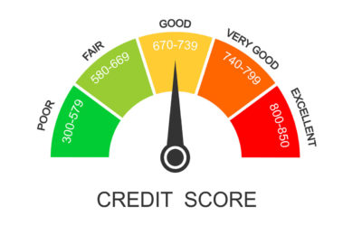 Why are My Business Credit Score Important?